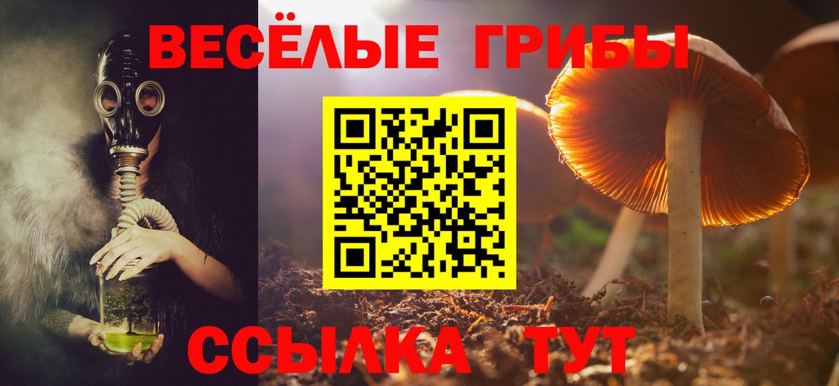 Галлюциногенные грибы Cubensis  Галлюциногенные грибы ЛСД  Вход с VPN  Туймазы 