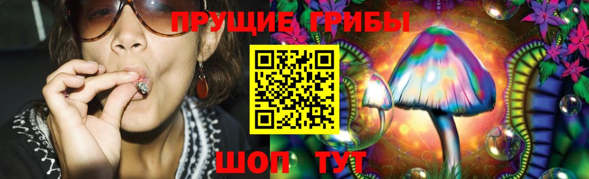 Галлюциногенные грибы Psilocybine cubensis Туймазы